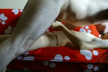 ABG Bispak Hotel Bintang Lima Lumer Enak